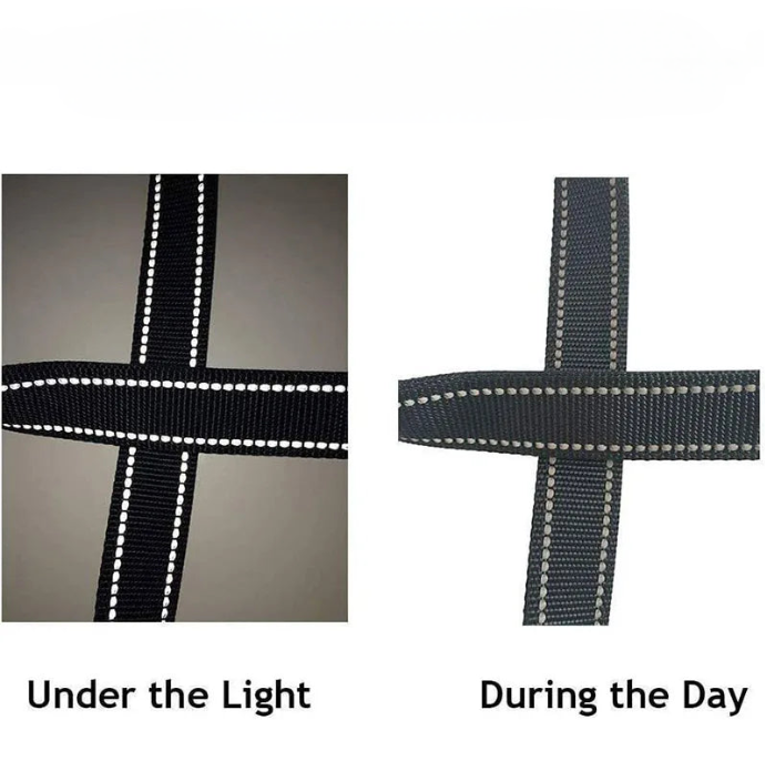 Reflective Leash