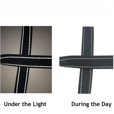 Reflective Leash