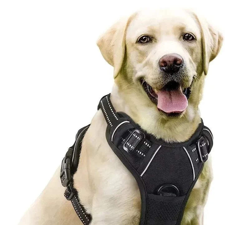 Dog Harness