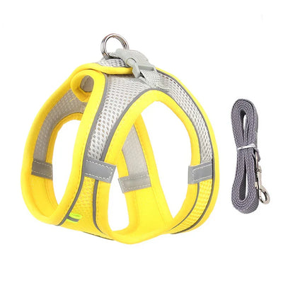 Dog Harness