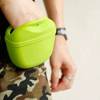 Treat Waist Bag