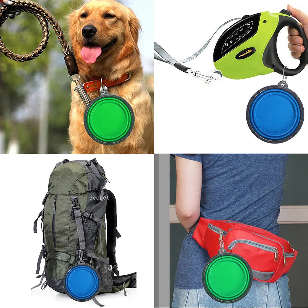 Foldable Bowl