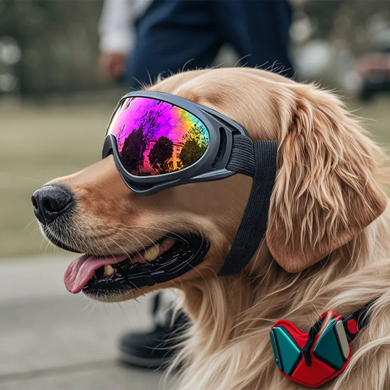 Dog Sunglasses