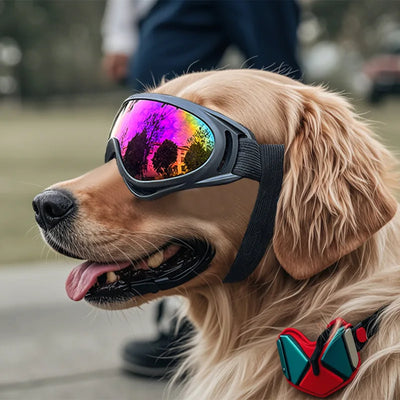 Dog Sunglasses