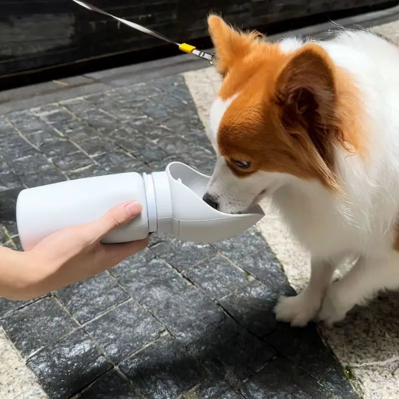 Foldable Travel Bottle