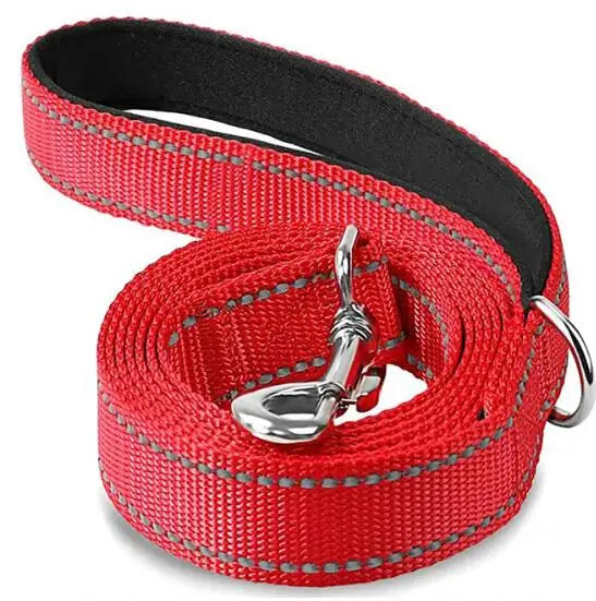 Reflective Leash