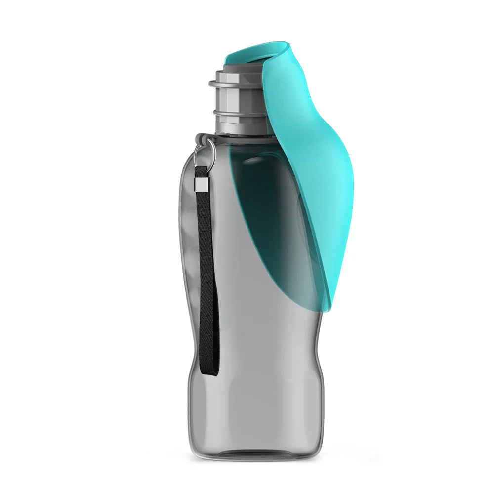 Travel Water Bottle