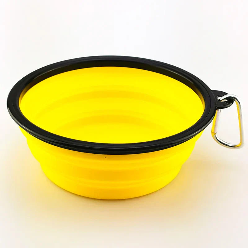 Foldable Bowl