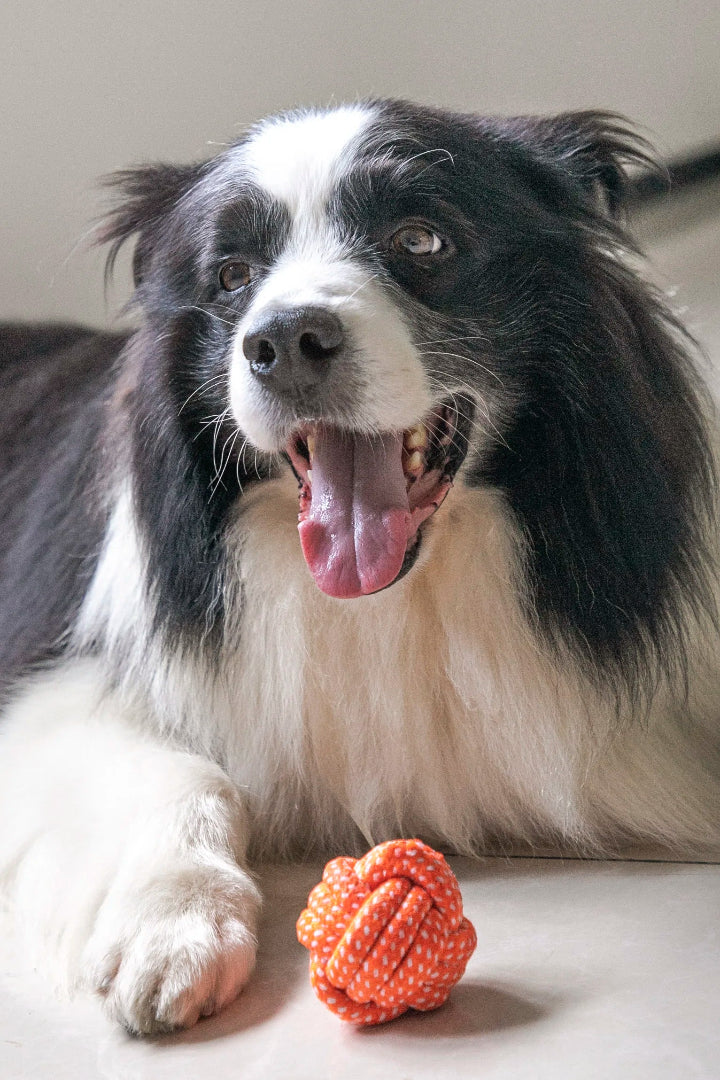 Durable Rope Ball