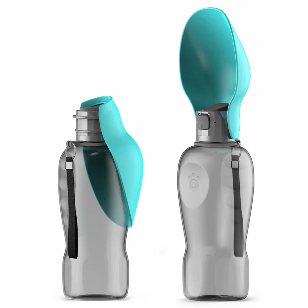 Travel Water Bottle