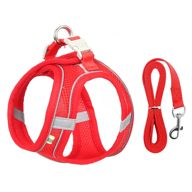 Dog Harness