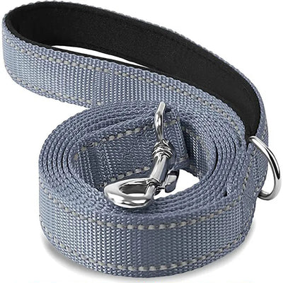 Reflective Leash