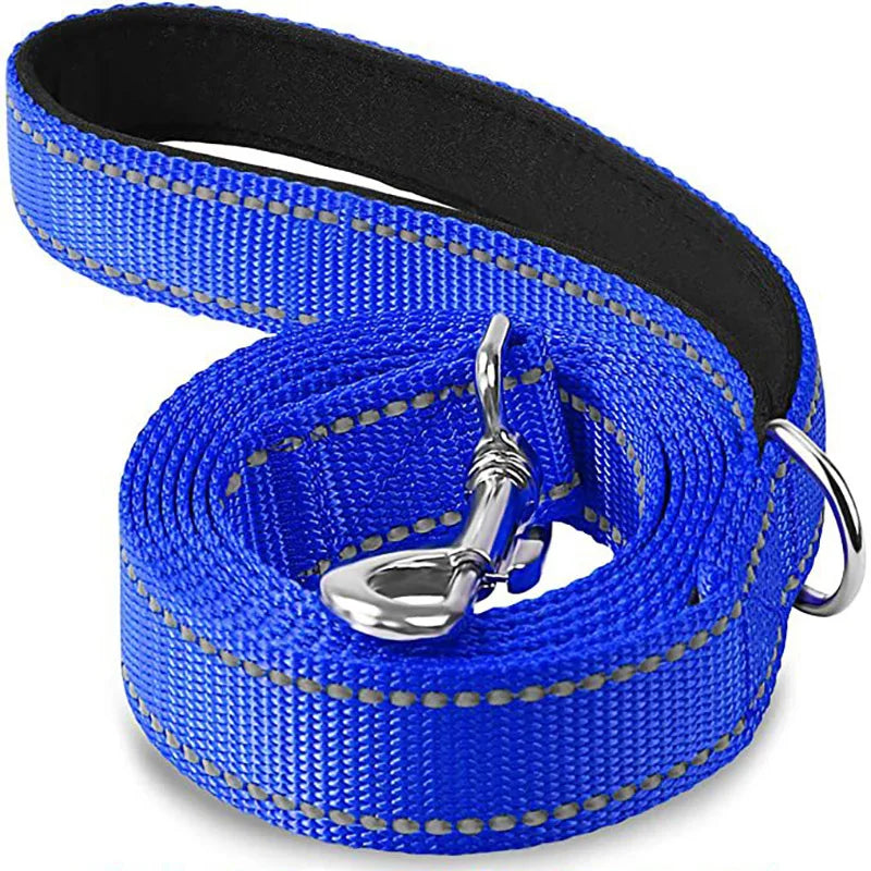 Reflective Leash