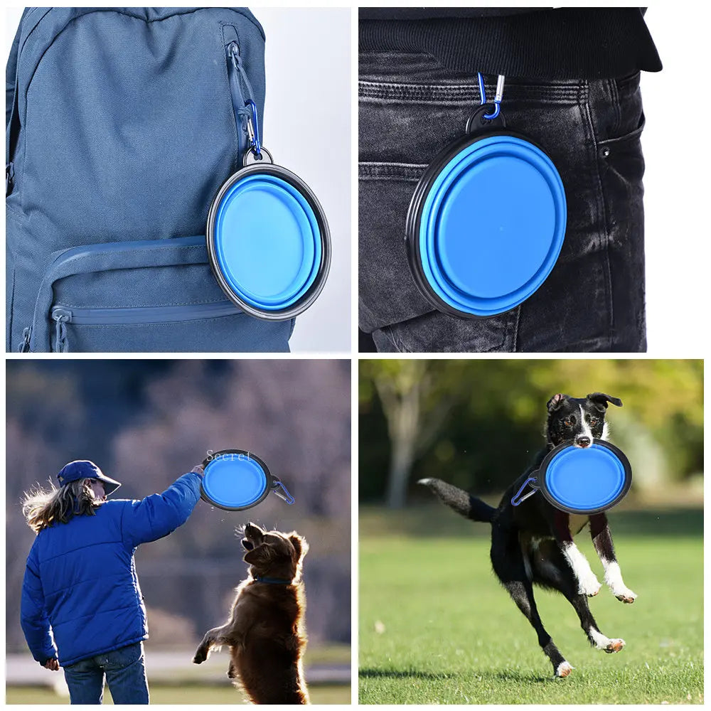 Foldable Bowl