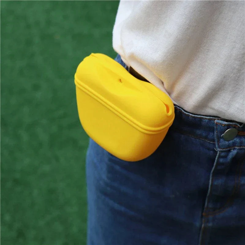 Treat Waist Bag