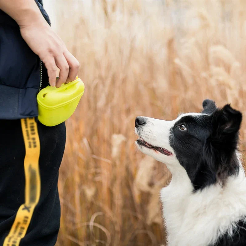Treat Waist Bag