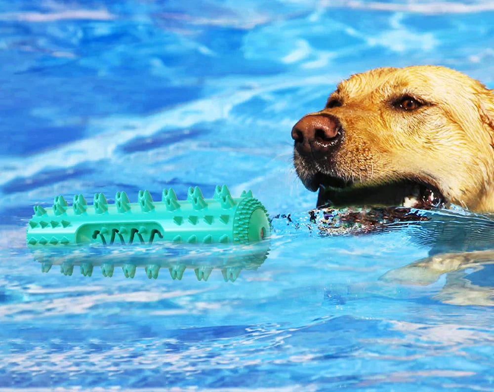 Floating Chew Toy