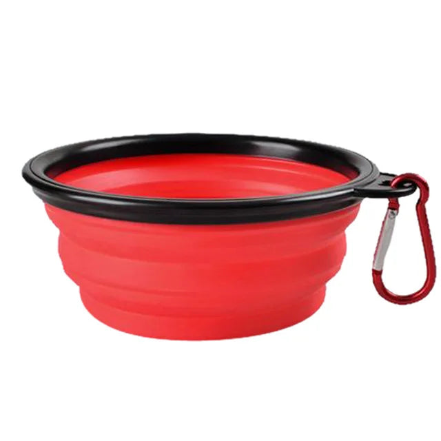 Foldable Bowl