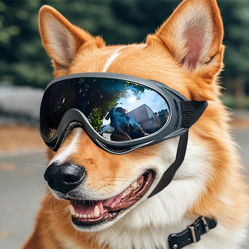 Dog Sunglasses