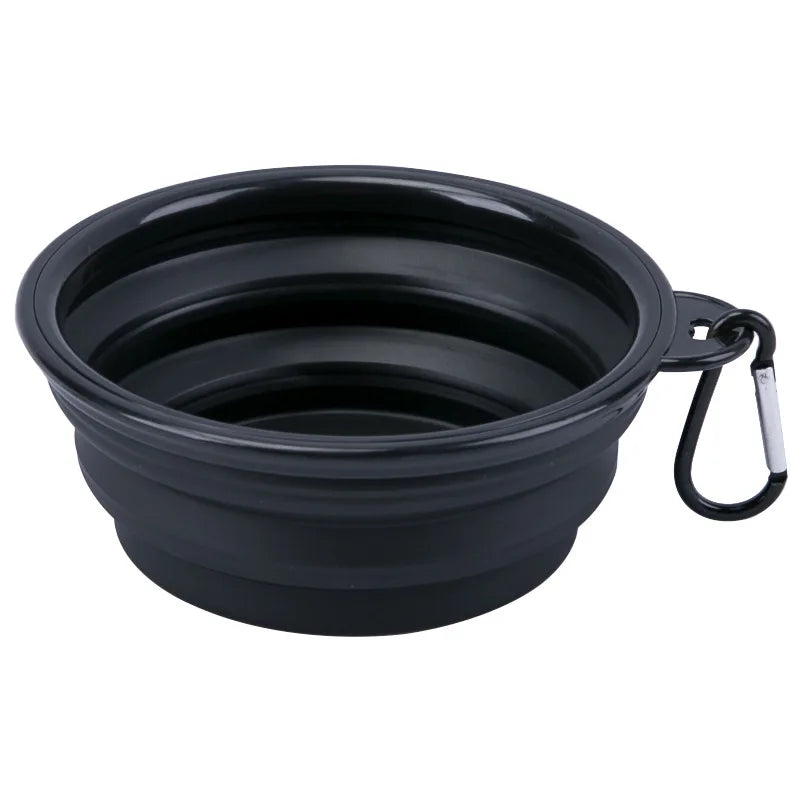Foldable Bowl