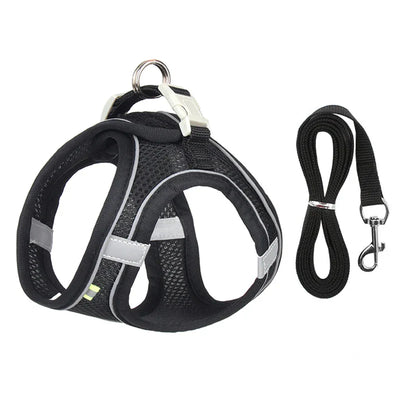 Dog Harness