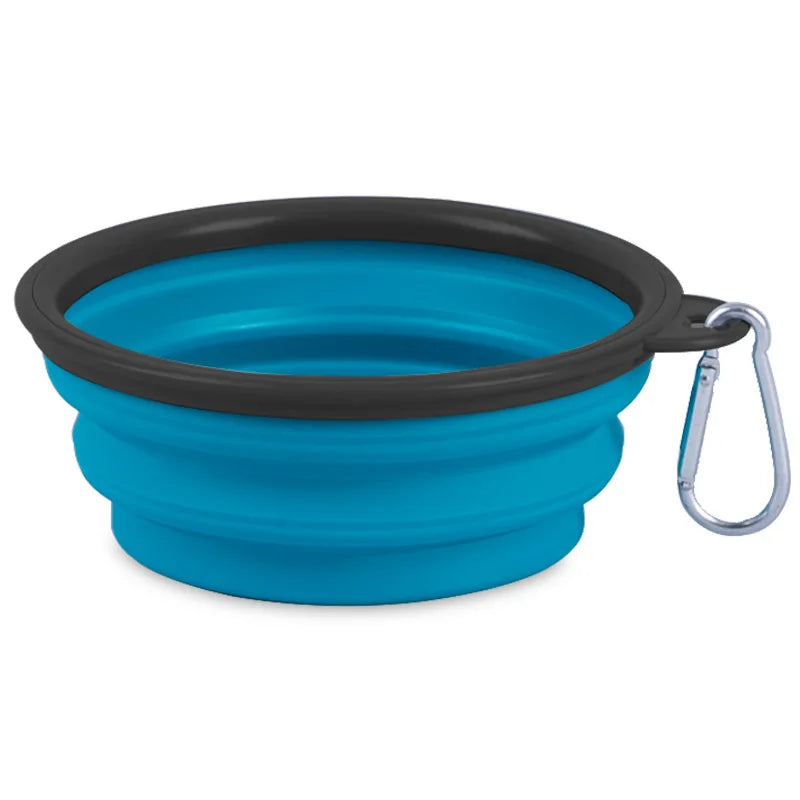 Foldable Bowl