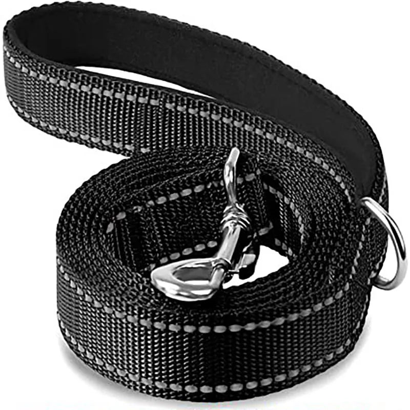 Reflective Leash