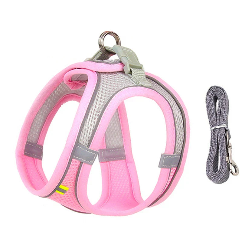 Dog Harness