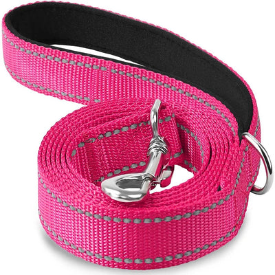 Reflective Leash