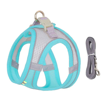 Dog Harness