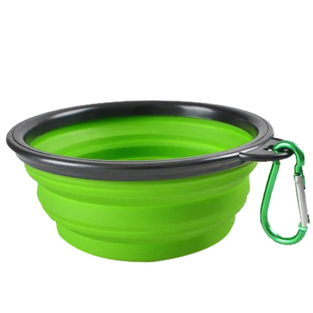 Foldable Bowl